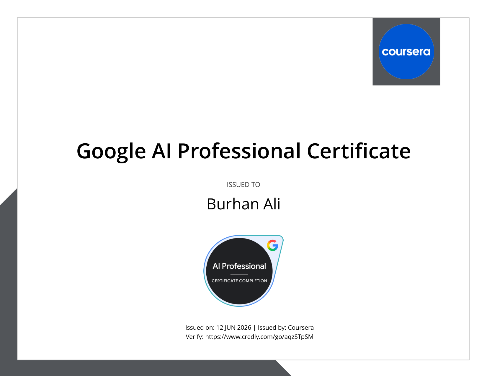 Google AI Professional Badge